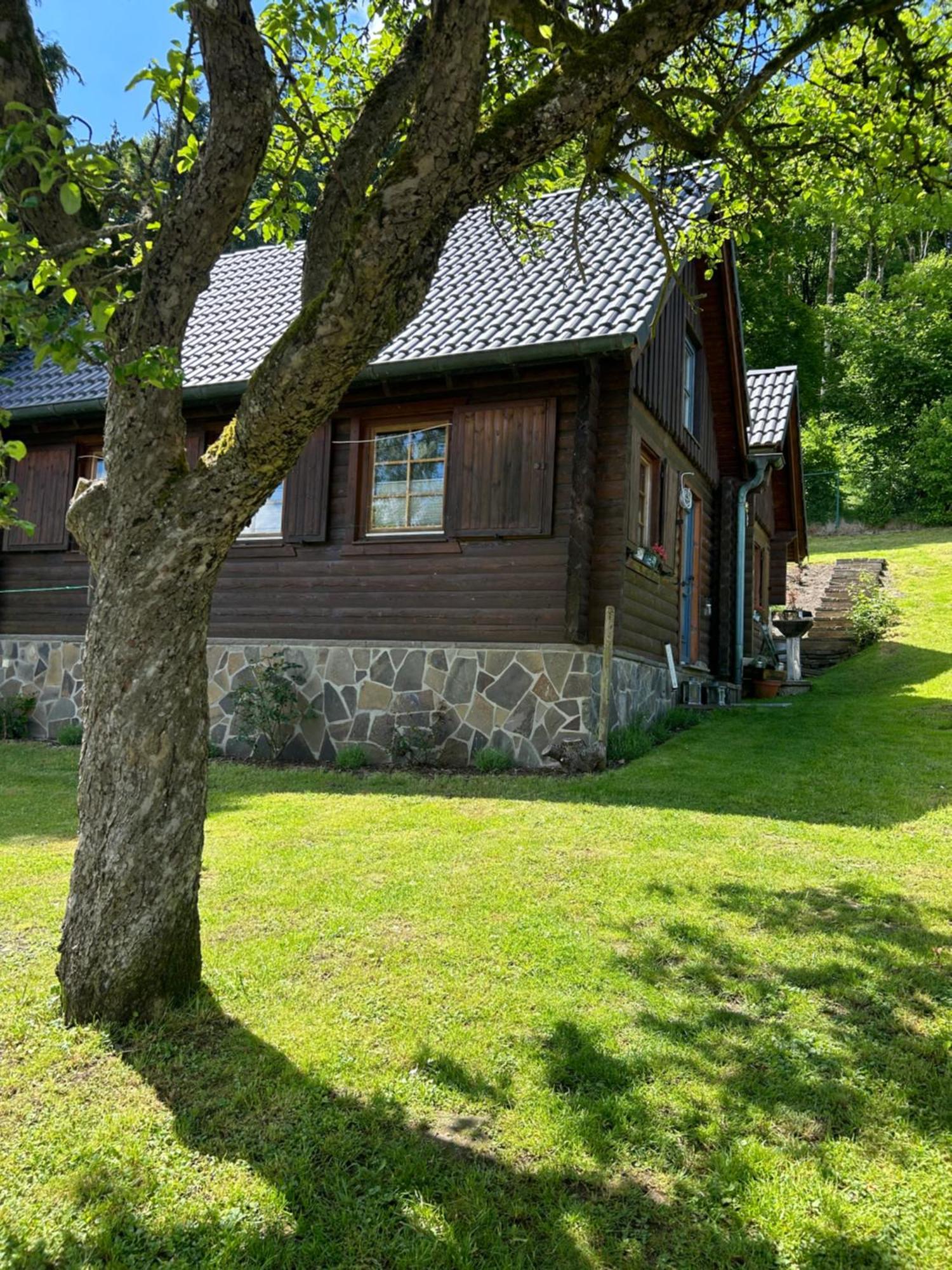 Villa Blockhuette Engeln-Eifel à Kempenich Extérieur photo